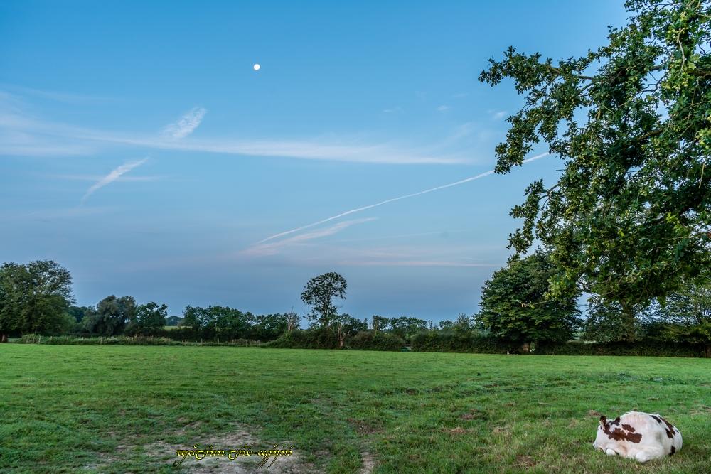 Sous la Lune